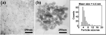 langmuir-2006