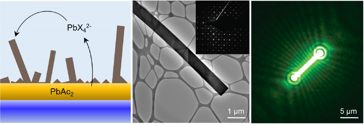 Solution grown nanowires make the best lasers