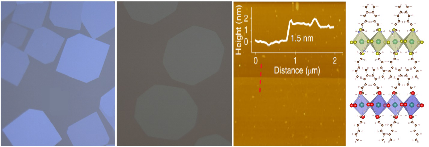 A solution floating growth of large-area sheets of 2D perovskites enables deterministic fabrication of arbitrary vertical heterostructures