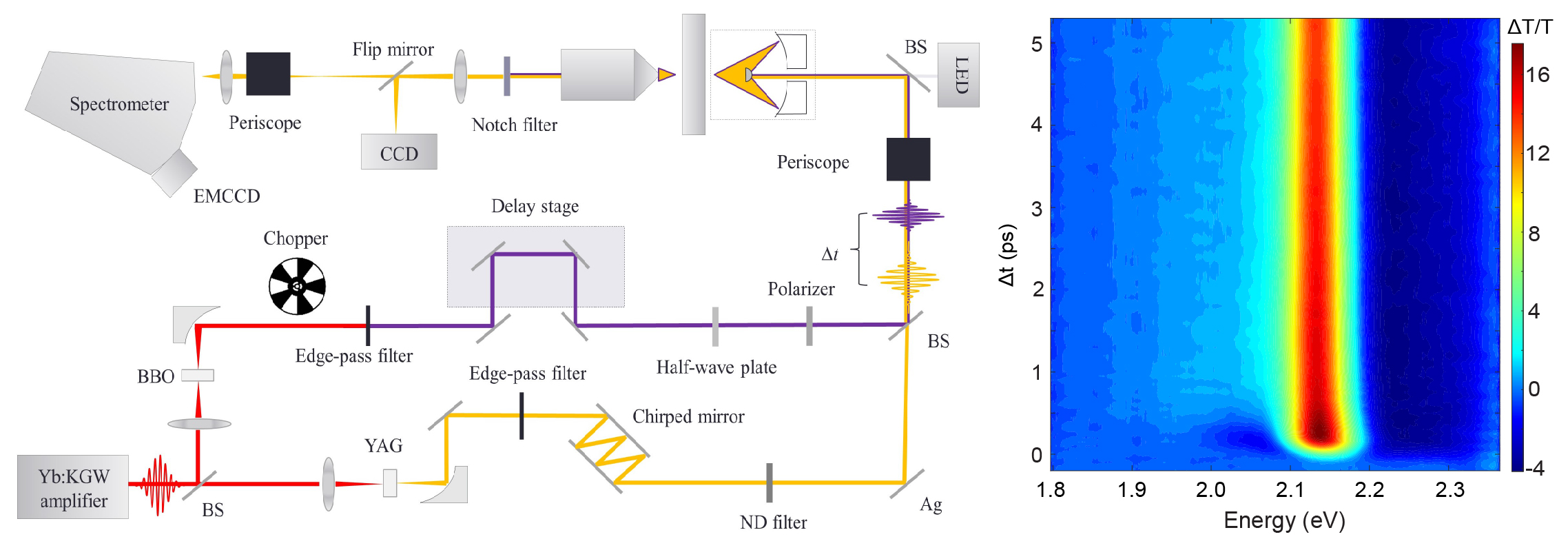 Structure-property relationship between A-cation and excited state dynamics in halide perovskites