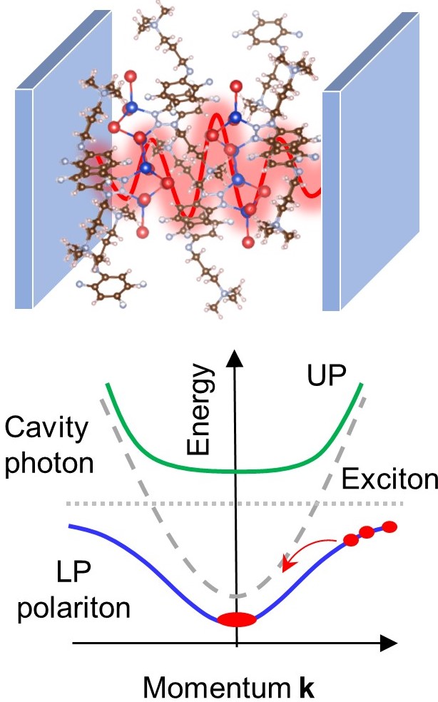 Light-matter interactions in hybrid materials.